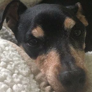 Meet your Posher, Derrick